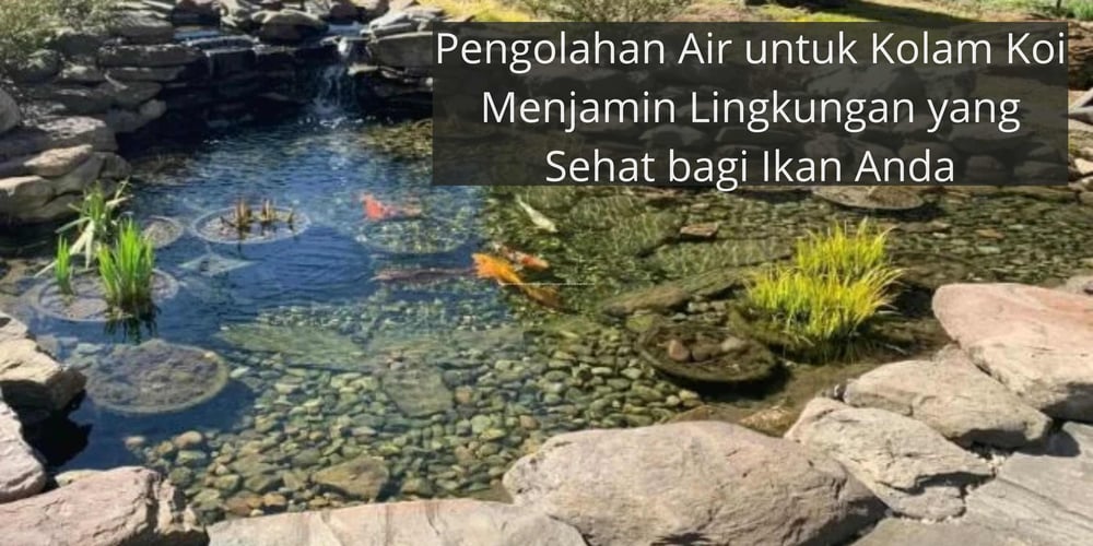 Cara Menggunakan Karbon Aktif dalam Akuarium dan Kolam Koi