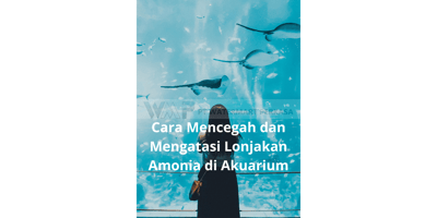 cara mencegah dan mengatasi lonjakan amonia di akuarium