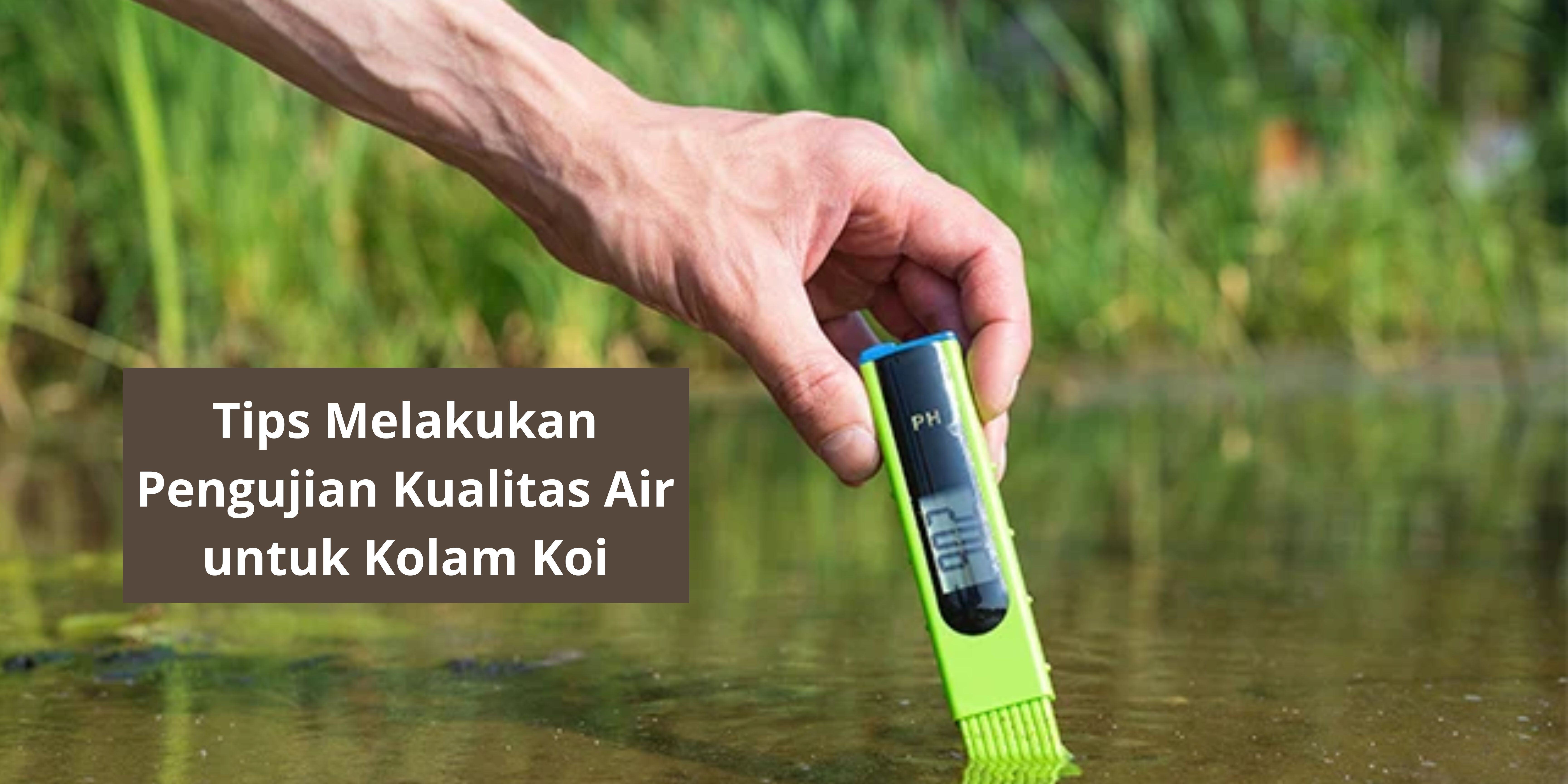 Tips Melakukan Pengujian Kualitas Air untuk Kolam Koi