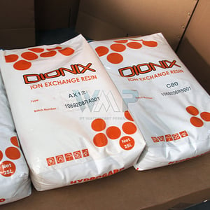 Ion Exchange Resin Dionix