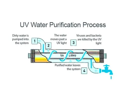 UF System