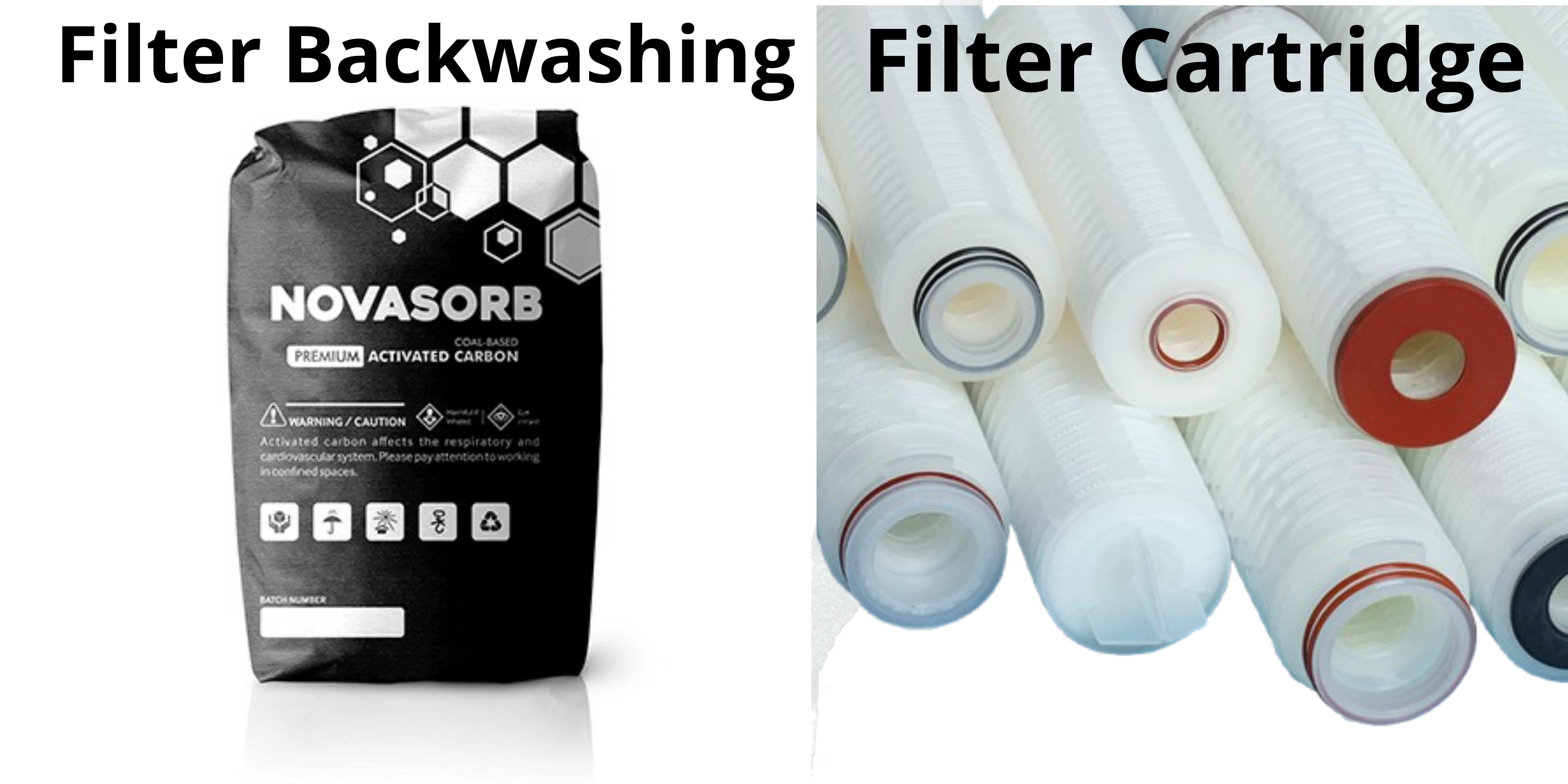 filter cartridge vs filter backwashing