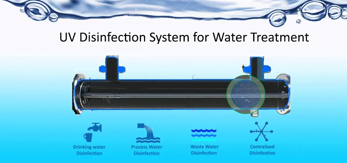 UV Disinfection System