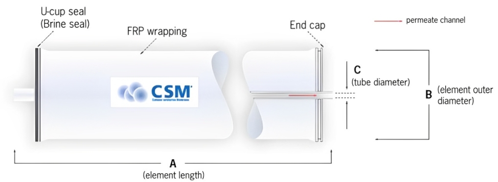 csm (1)