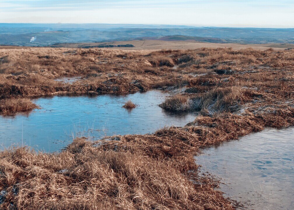 peat water