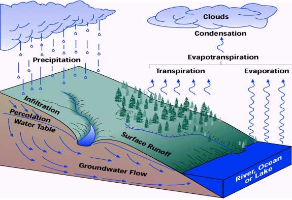 groundwater vs surface water