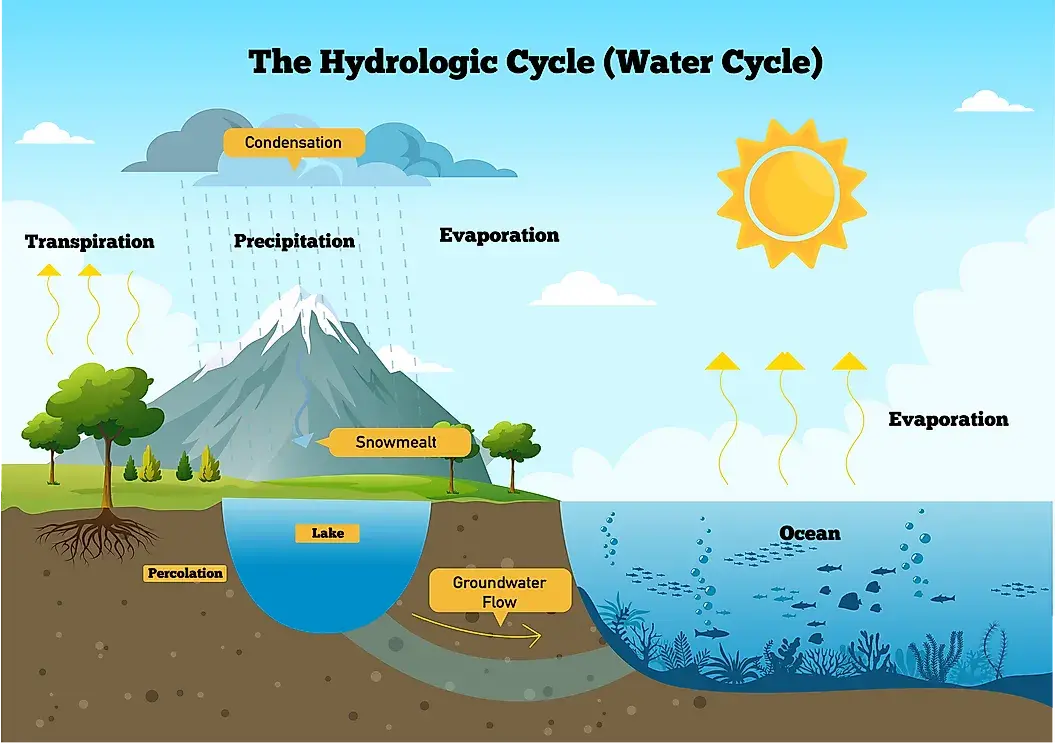 hydrological cycle